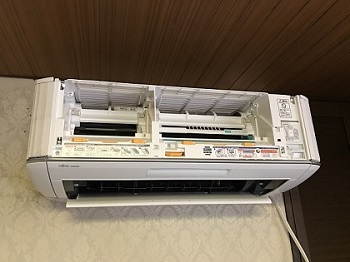 ダストボックスとフィルターを外した状態。